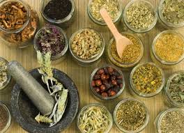 Kumpulan Artikel Tanaman Herbal