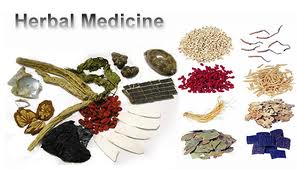 Kumpulan Artikel Obat Herbal Tradisional