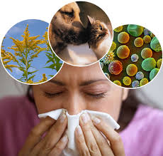 Obat Herbal Tradisional Untuk Penyakit Alergi