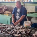 4 Cerita Lucu Humor Penjual Ikan Yang Kocak Abis