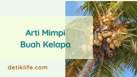 6+ Arti Mimpi Buah Jatuh Di Depan Kita