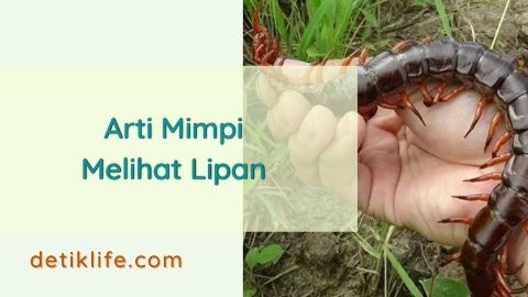 Arti Mimpi Melihat Lipan